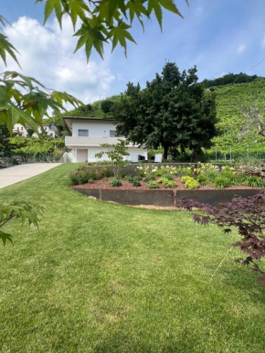 el Zhìgol B&B Farra Di Soligo